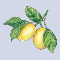 Lemons Premium Sweatshirt | Teevron