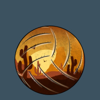 Desert Cactus Sunset Volleyball Urban Heavy Tee | Teevron