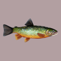 Greenback Cutthroat Trout Fish Vintage Hoodie | Teevron
