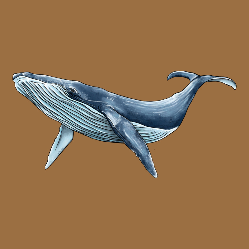 Humpback Whale Vintage Tee by BarkalooDesign | Teevron