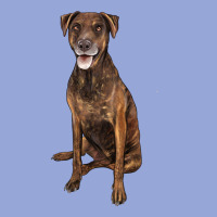 Plott Hound Classic Tee | Teevron