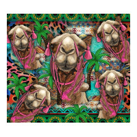 camel face | Teevron