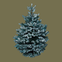 Colorado Blue Spruce Vintage Hoodie | Teevron