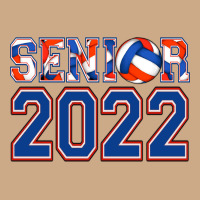 Senior Volleyball Custom Vintage Hoodie | Teevron