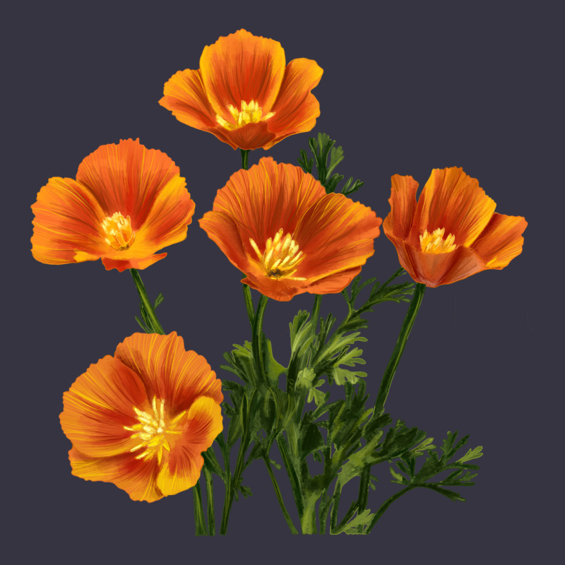 California Poppy Flower Vintage Hoodie by RanaPortraitStore | Teevron