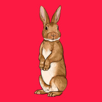 Bunny Easter Zipper Hoodie | Teevron