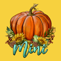Pumpkin Mini Premium Sweatshirt | Teevron