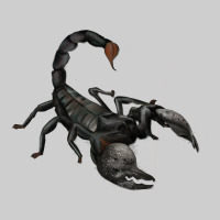 Scorpion Premium Tee | Teevron