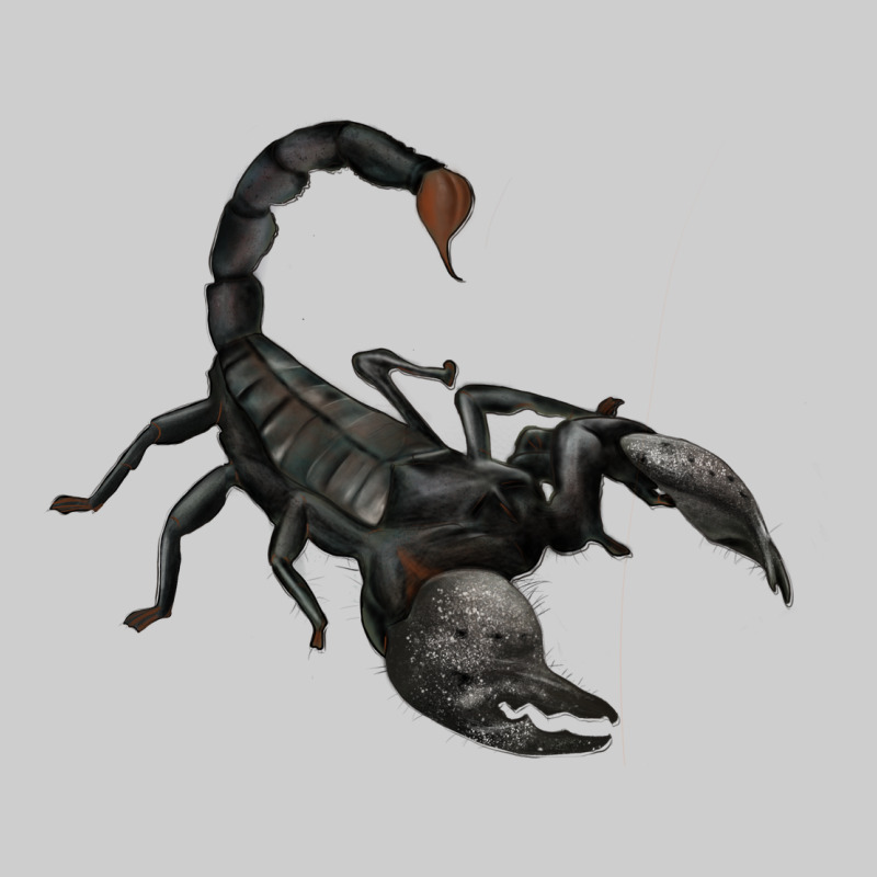 Scorpion Premium Tee by JahusDesignShop | Teevron