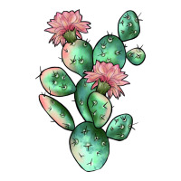 cactus 5 | Teevron