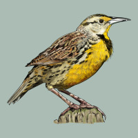 Western Meadowlark Classic Tee | Teevron