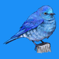 Mountain Bluebird Classic Tee | Teevron