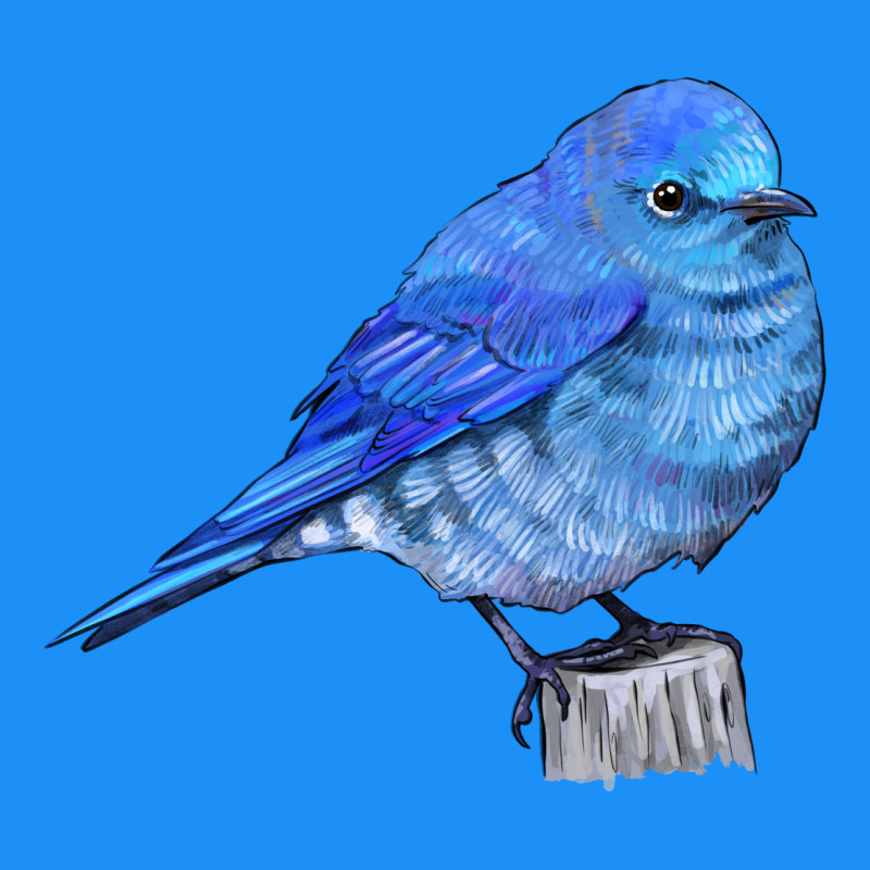 Mountain Bluebird Classic Tee by LillyAllenDesigns | Teevron