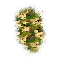 camouflage patch 1 | Teevron