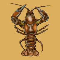Crawfish Premium Hoodie | Teevron
