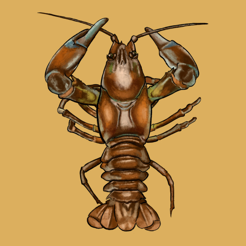 Crawfish Premium Hoodie by FaDigitalArtStudio | Teevron
