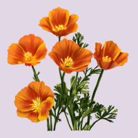 California Poppy Flower Classic Tee | Teevron