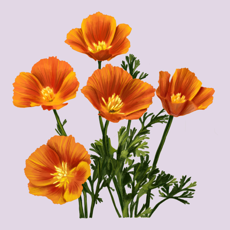California Poppy Flower Classic Tee by RanaPortraitStore | Teevron