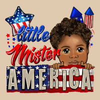 Little Mister America Black Boy Heavyweight Sweatshirt | Teevron