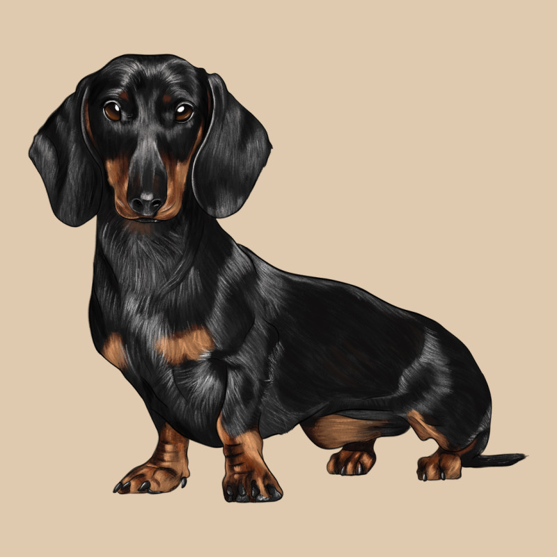 Dachshund Dog Illustrations Classic Tee by LillyAllenDesigns | Teevron