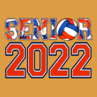 Senior Volleyball Custom Urban Heavy Tee | Teevron