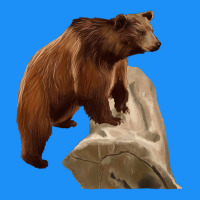 California Grizzly Bear Classic Tee | Teevron