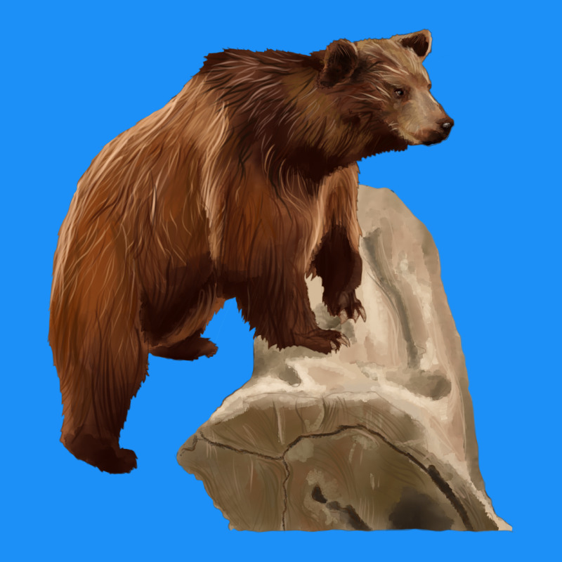 California Grizzly Bear Classic Tee by RanaPortraitStore | Teevron