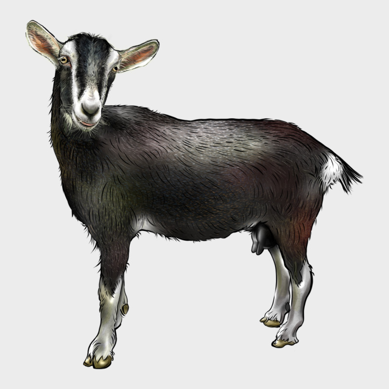 Alpine Goat Urban Hoodie by LillyAllenDesigns | Teevron