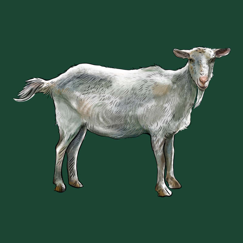 Saanen Goat Urban Hoodie by LillyAllenDesigns | Teevron