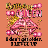 Birthday Queen I Dont Get Older I Level Up Classic Tee | Teevron