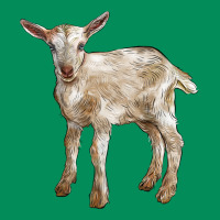 Baby Saanen Goat Urban Hoodie | Teevron