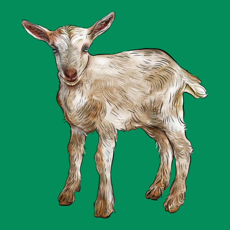 Baby Saanen Goat Urban Hoodie by LillyAllenDesigns | Teevron