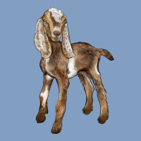 Baby Nubian Goat Urban Hoodie | Teevron