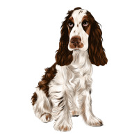 english cocker spaniel | Teevron