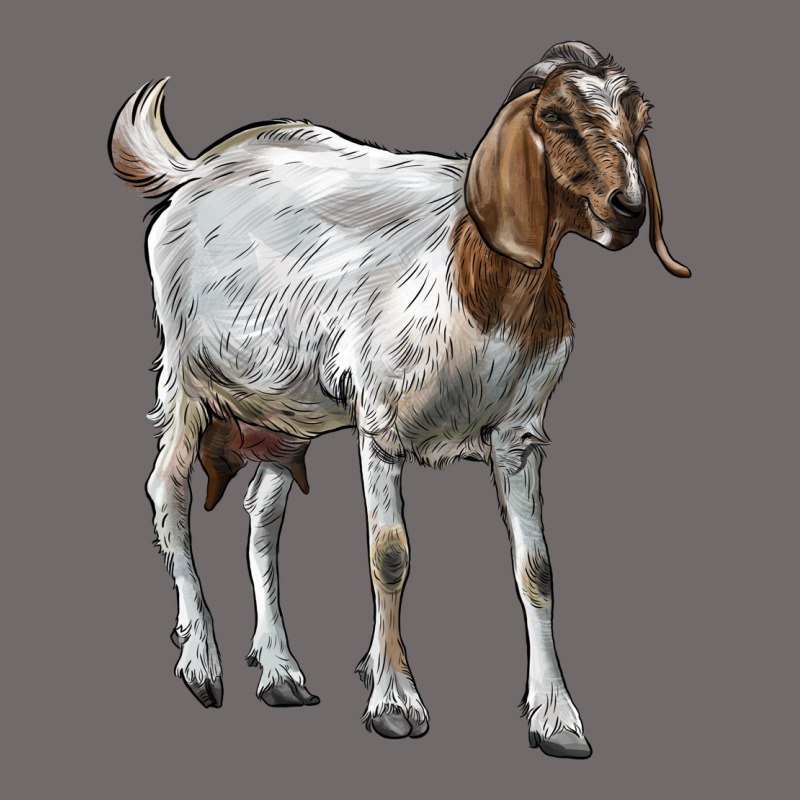 Boer Goat Urban Hoodie by LillyAllenDesigns | Teevron