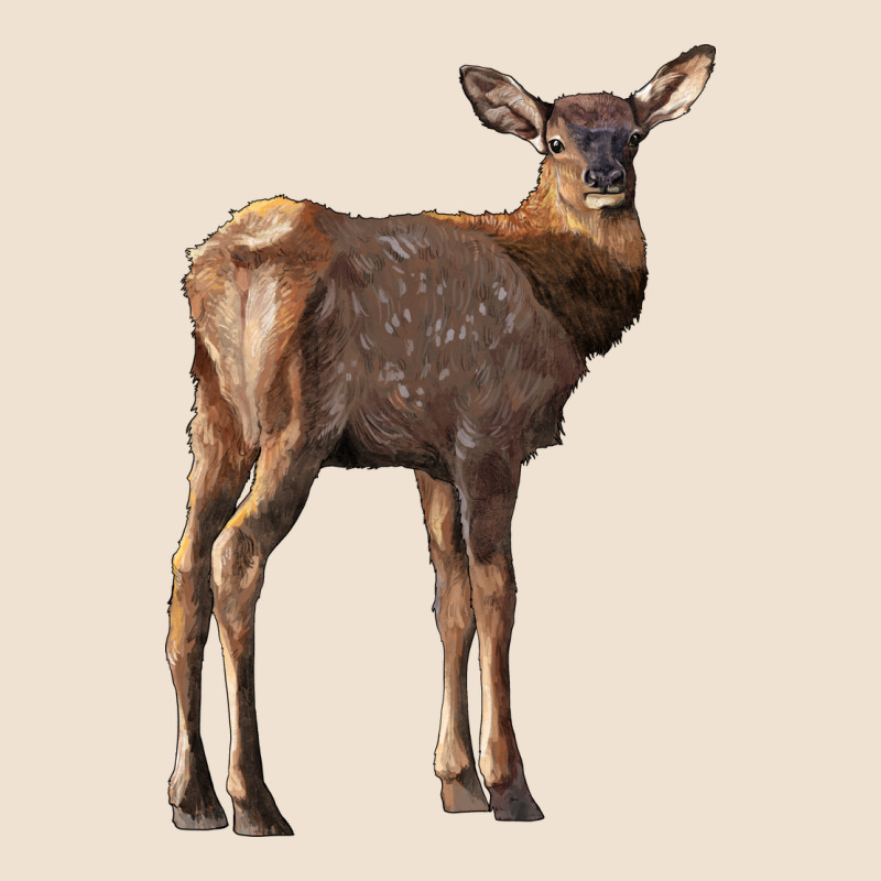 Elk Fawn Deer Urban Hoodie by LillyAllenDesigns | Teevron