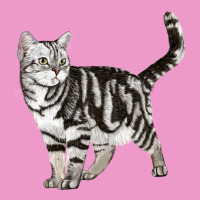 American Shorthair Cat Urban Hoodie | Teevron
