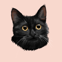 Bombay Cat Face Urban Hoodie | Teevron