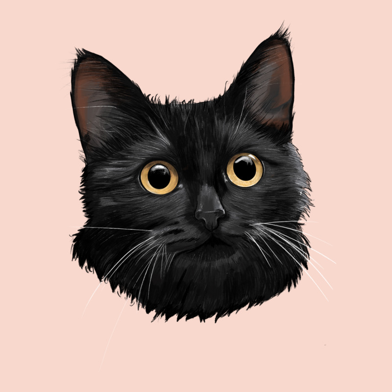 Bombay Cat Face Urban Hoodie by LillyAllenDesigns | Teevron