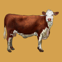 Hereford Cow Urban Hoodie | Teevron