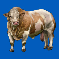 Simmental Bull Urban Hoodie | Teevron