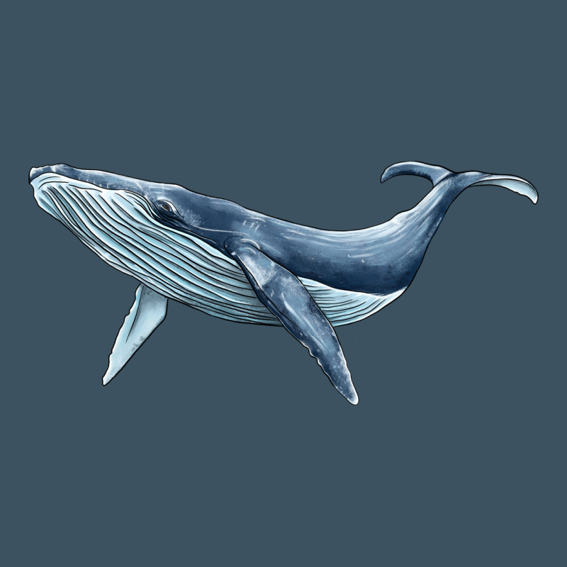 Humpback Whale Urban Heavy Tee by BarkalooDesign | Teevron