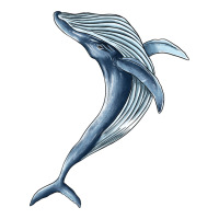 humpback whale jumping | Teevron