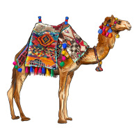 camel with colorful saddle | Teevron