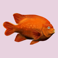 California Garibaldi Fish Classic Tee | Teevron