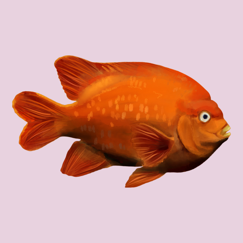 California Garibaldi Fish Classic Tee by RanaPortraitStore | Teevron