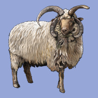 Navajo Churro Sheep Classic Tee | Teevron