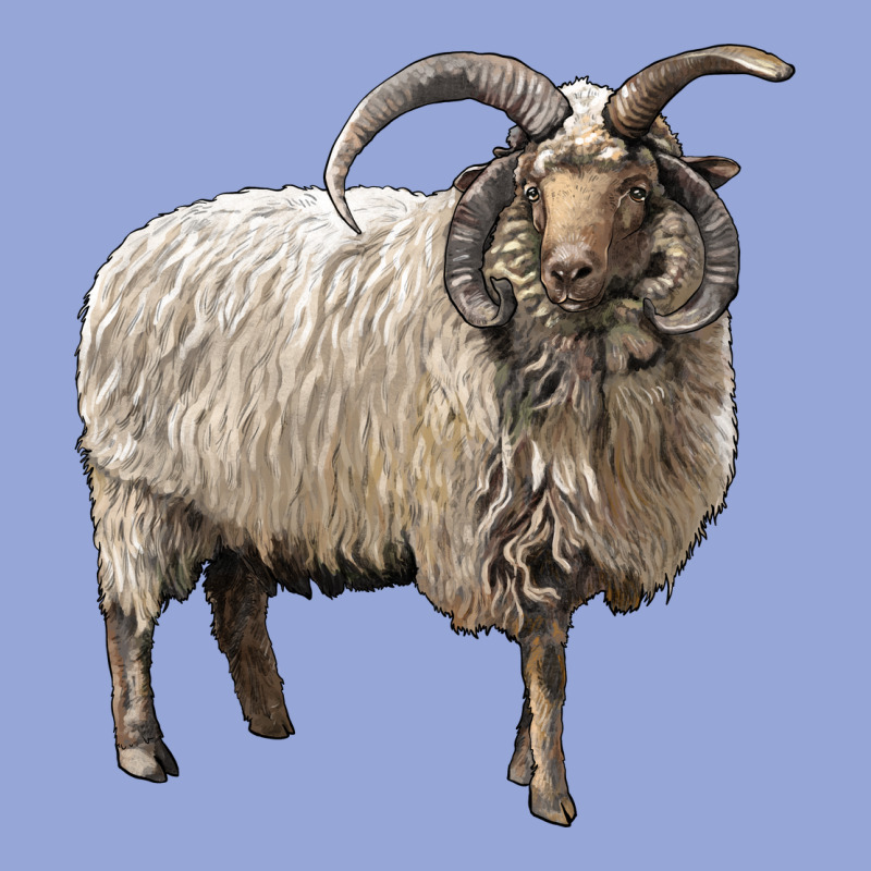 Navajo Churro Sheep Classic Tee by LillyAllenDesigns | Teevron