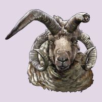 Navajo Churro Sheep Head Classic Tee | Teevron