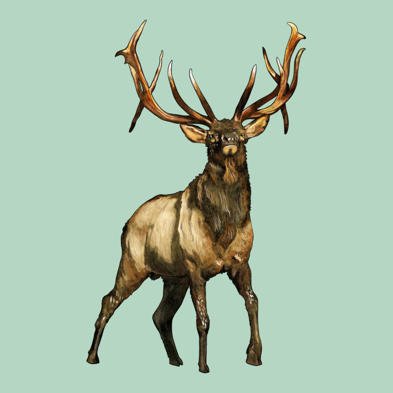 Elk Deer Classic Tee by LillyAllenDesigns | Teevron